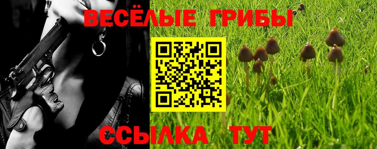 Ижевск  Галлюциногенные грибы прущие грибы  Вход с VPN 