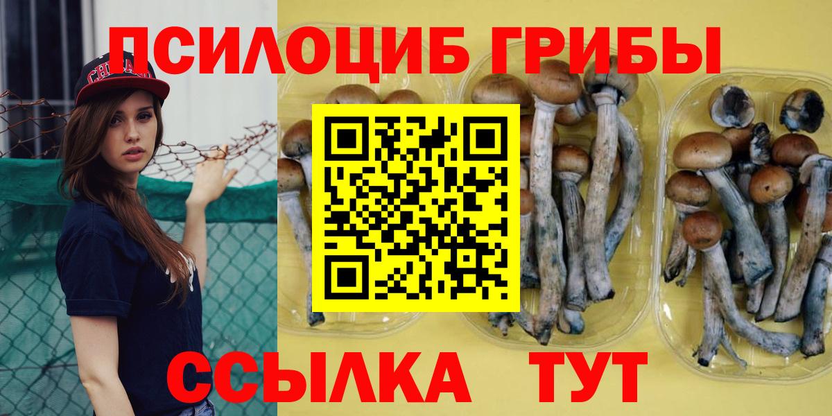 Галлюциногенные грибы Psilocybe Ижевск